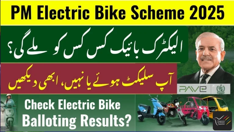 Almost 42,500 Citizens to Get Subsidized Pave Electric Bikes & Rickshaws, You Still Don’t Got It