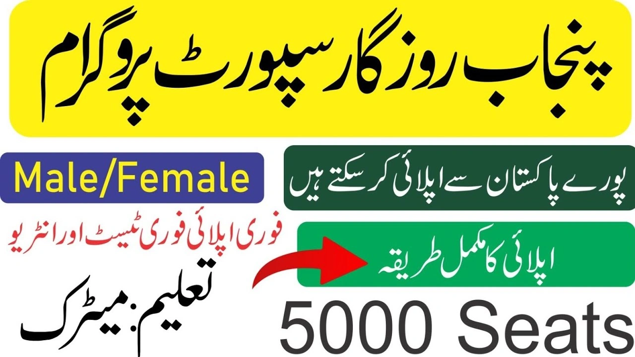 E-Rozgaar Program Upgraded 2025 - Free Digital Skills Training & Freelancing OpportunitiesGovt Announces